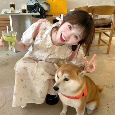 盗梦睡务员